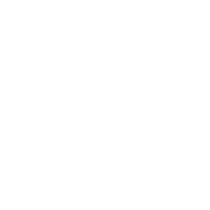 Logo Steel Frame Constructora Blanco Vertical